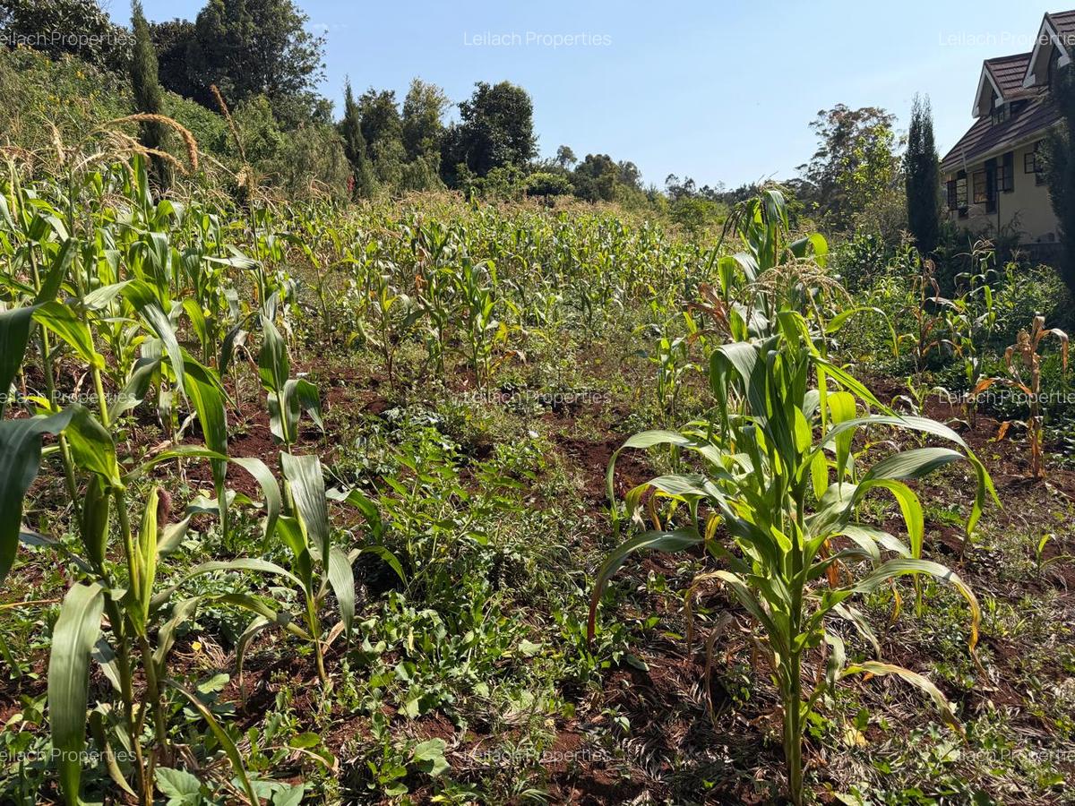 0.025 ac Land in Ngong - 4