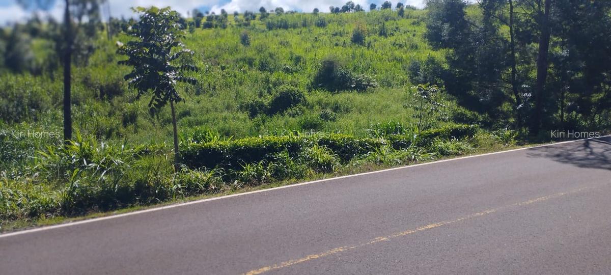 Land in Tigoni - 1