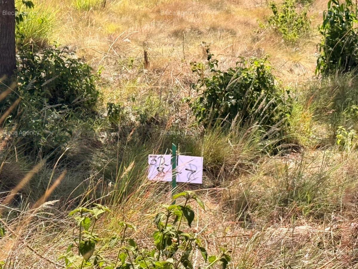 7.47 ac Residential Land at Ruiru-Githunguri Road - 10