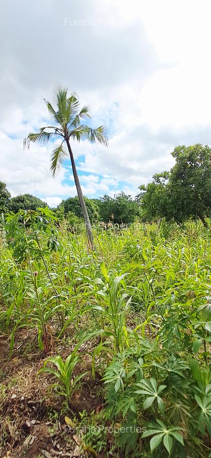 Land at Mtwapa - 11