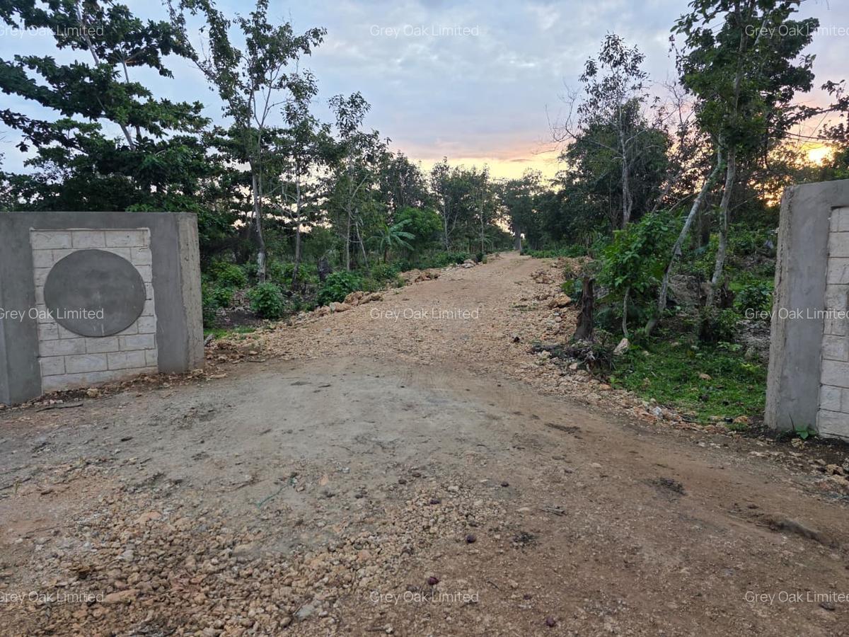 0.0405 ha Residential Land at Galu Beach Diani Beach Road - 11