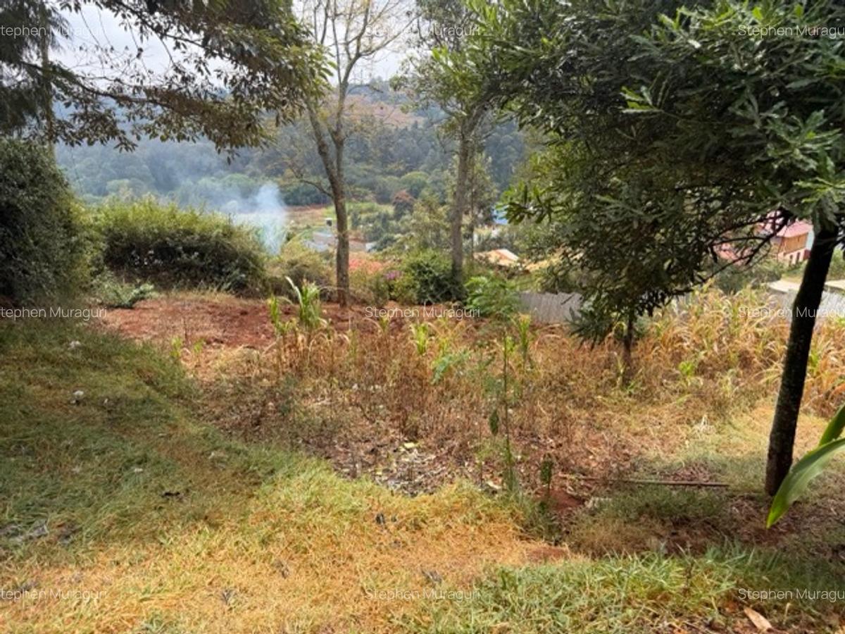0.25 ac Land in Nyeri - 10