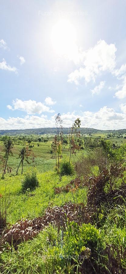 Land at Vipingo - 2