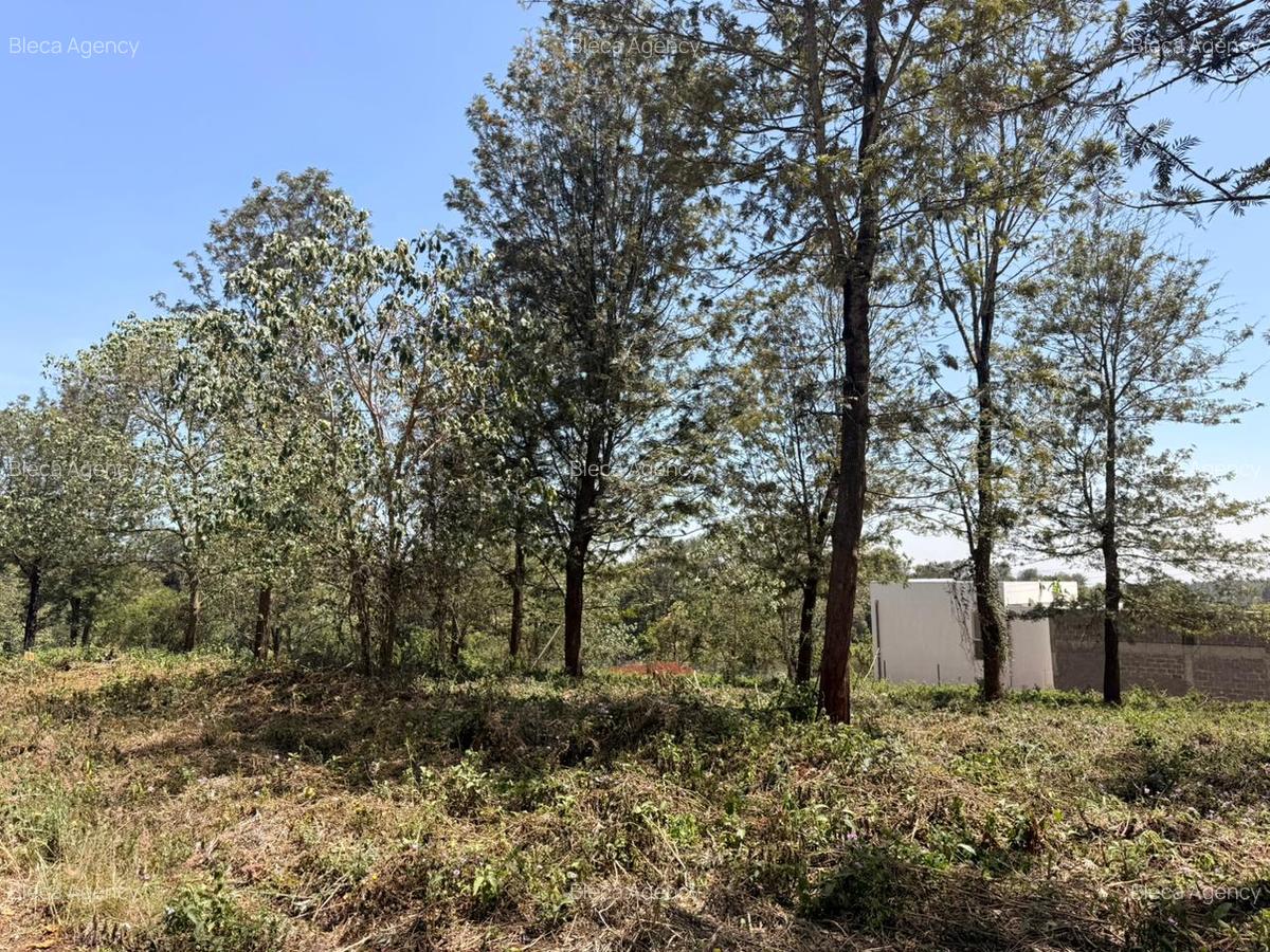 499 m² Residential Land in Tatu City - 15