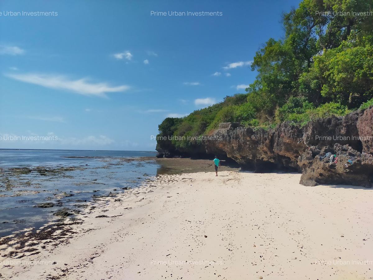 Land at Kuruwitu Beach Vipingo - 1