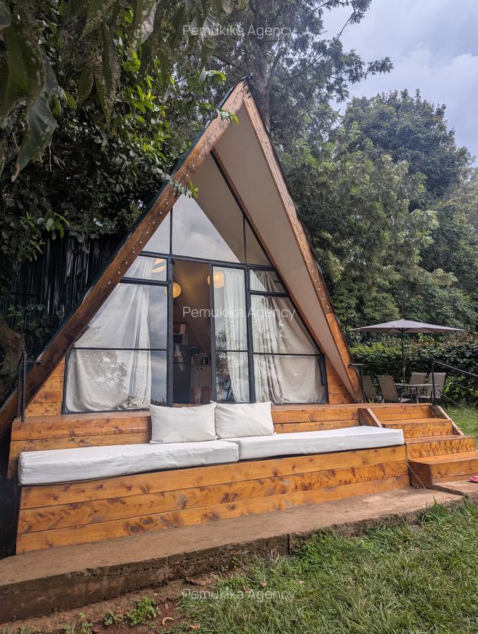 1 Bed House with En Suite at Windy Ridge - 1