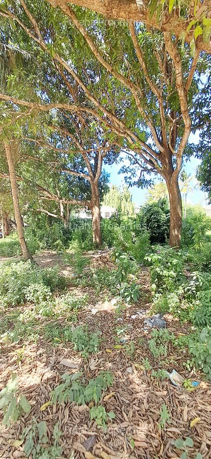 Land at Mtwapa - 14