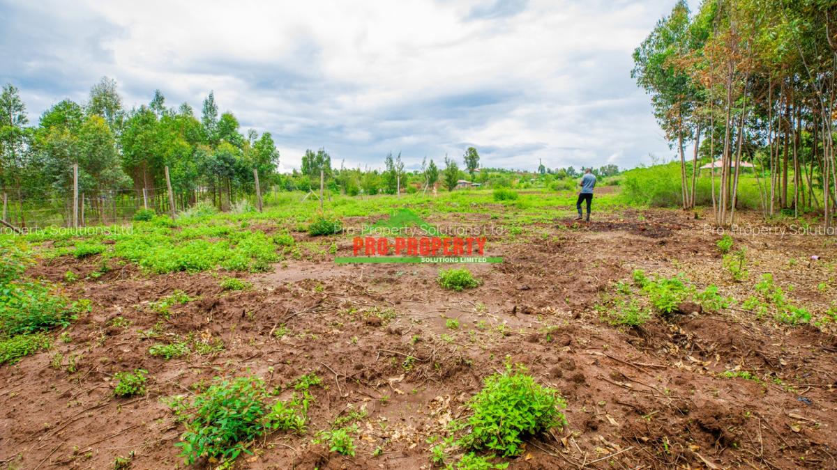 0.05 ha Residential Land at Nduiguine - 1