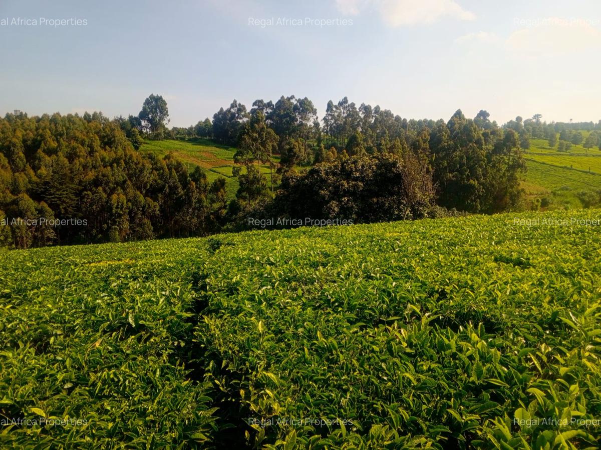 4.8 ac Land in Limuru - 7