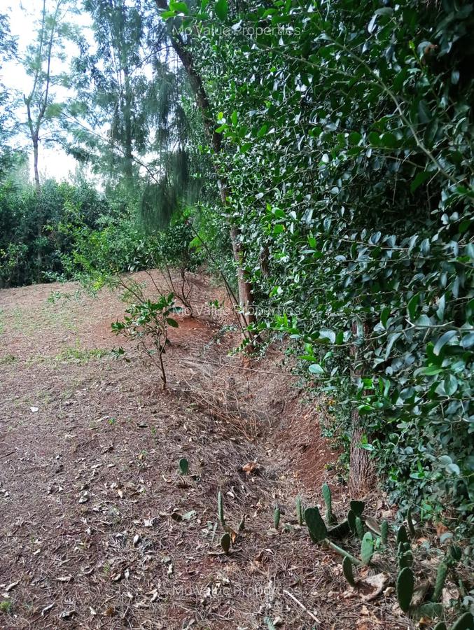 0.5 ac Land at Ololua - 8