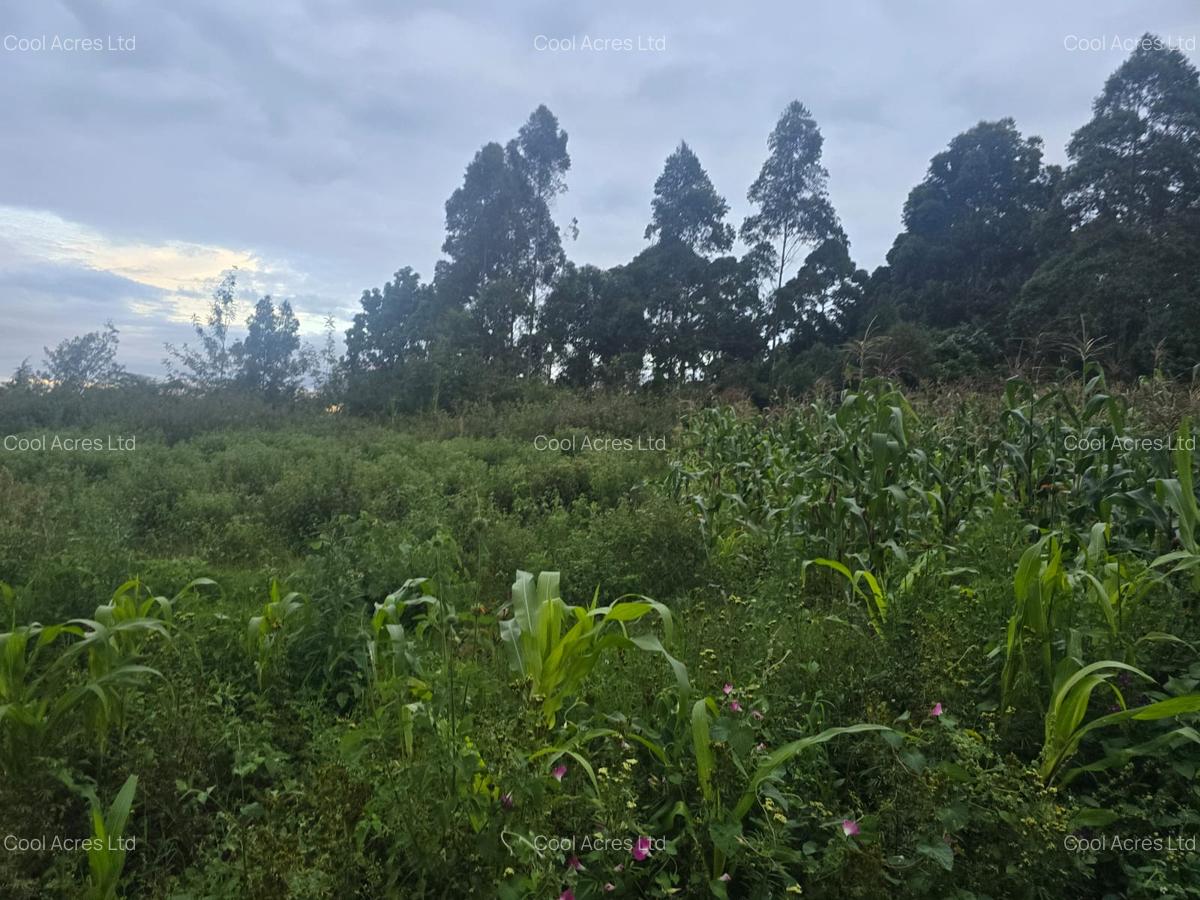 1 ac Land at Gicharani - 14