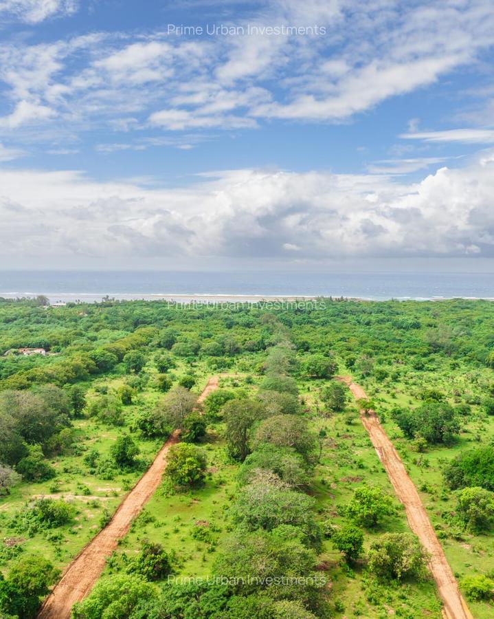 1,012 m² Residential Land at Kuruwitu Blue Green Estate Vipingo - 10