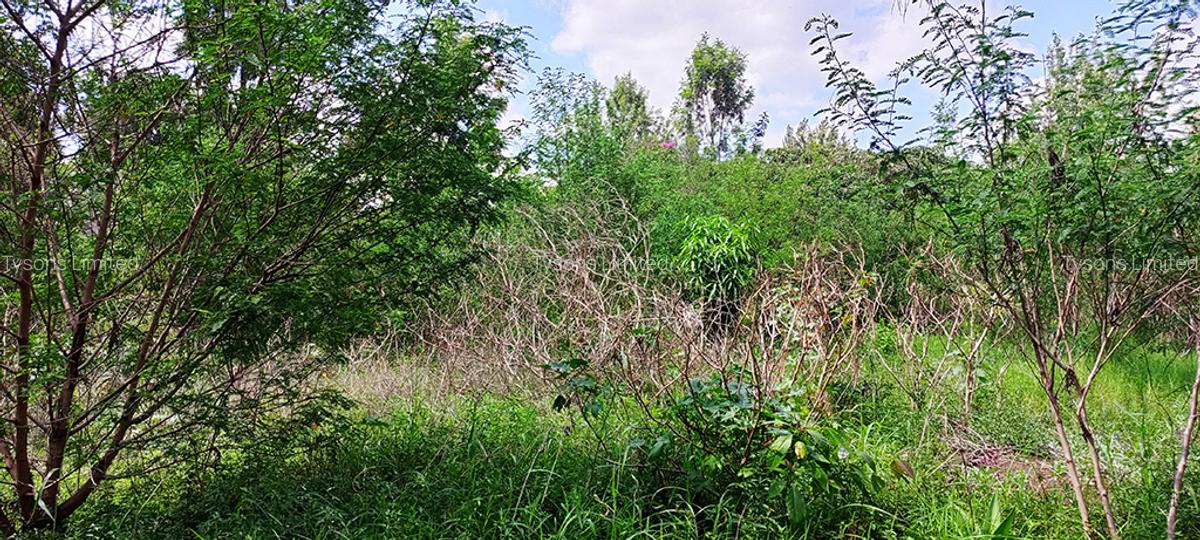 0.5 ac Residential Land in Thome - 2