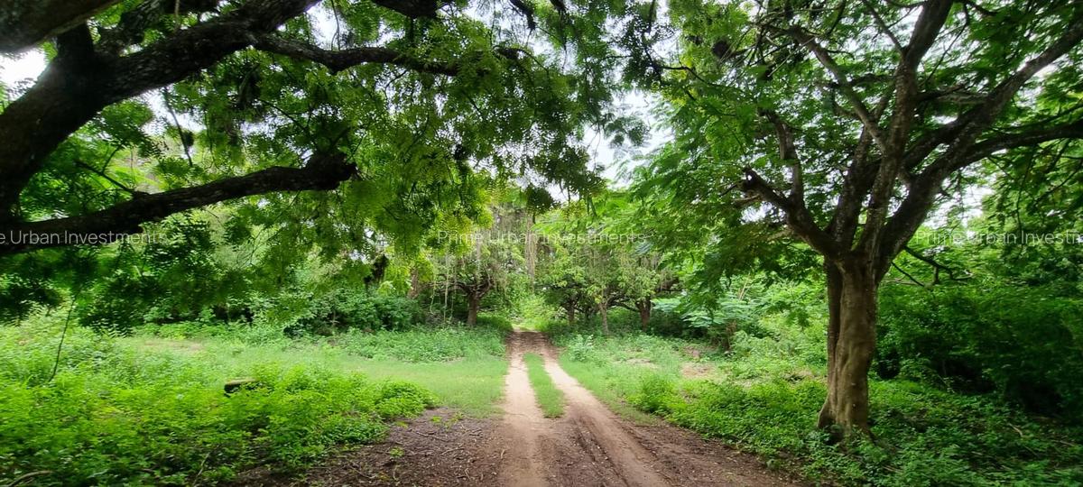 Land at Vipingo Kuruwitu Beach - 4