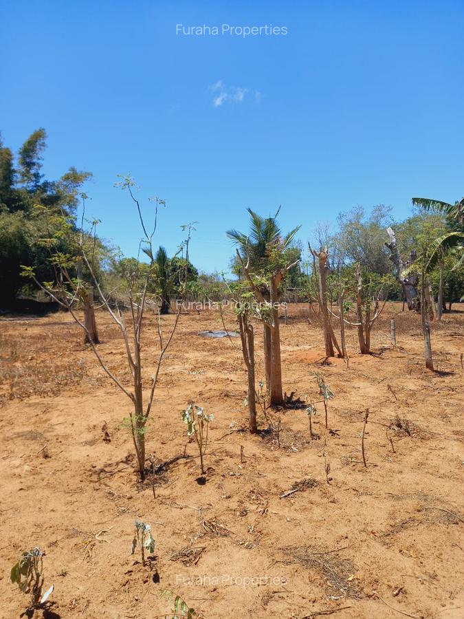 Land at Near Munarani - 4