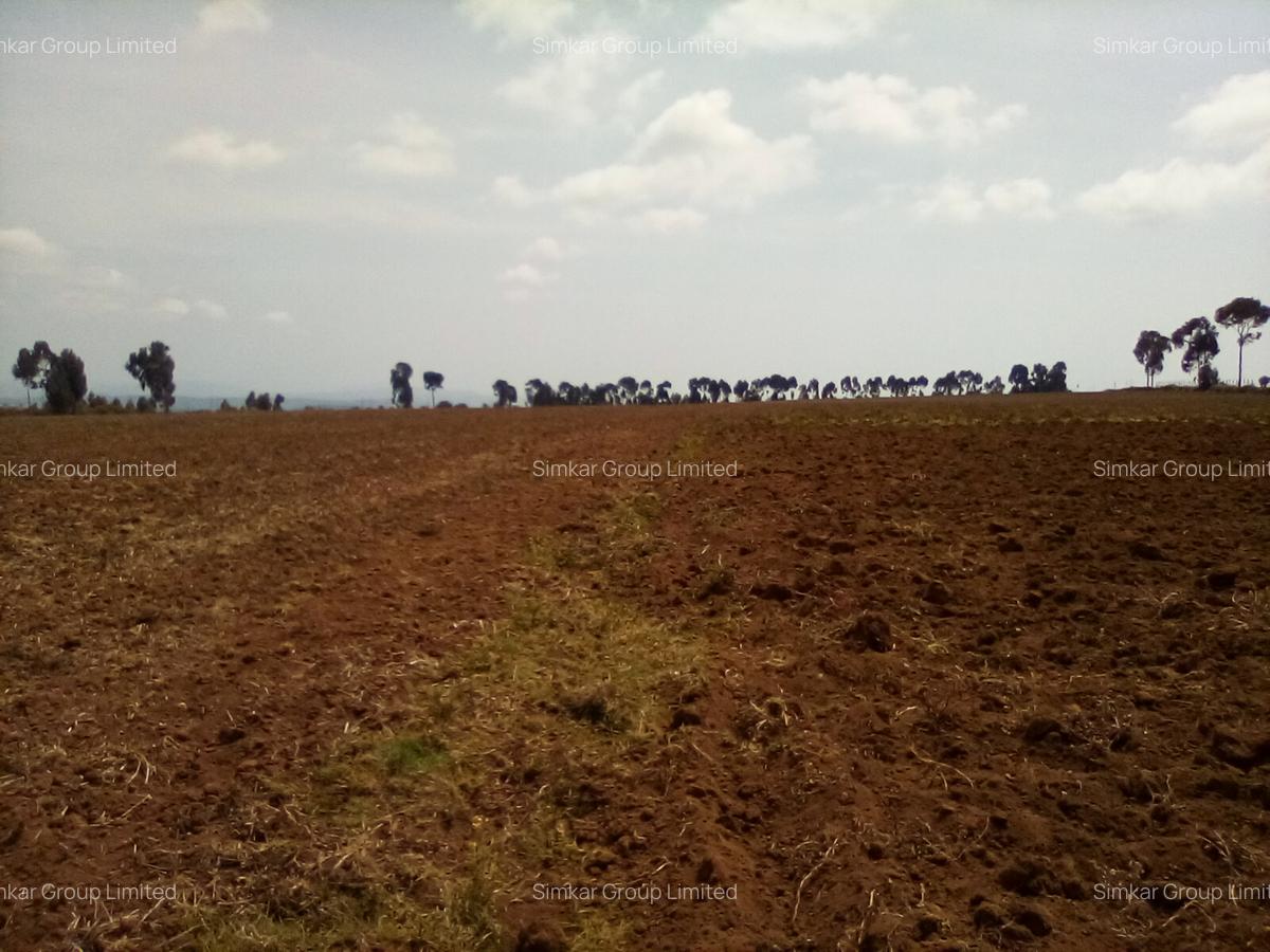 Land at Timau - 7
