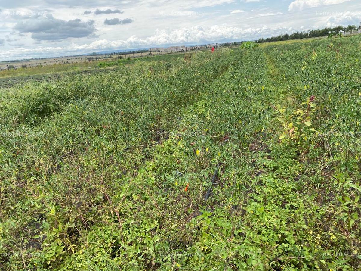 Commercial Land at Kitengera - 5