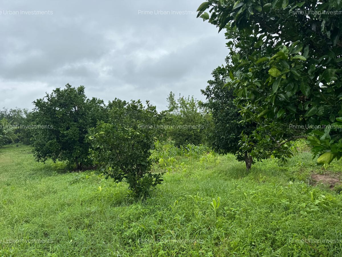 Land in Kilifi - 9