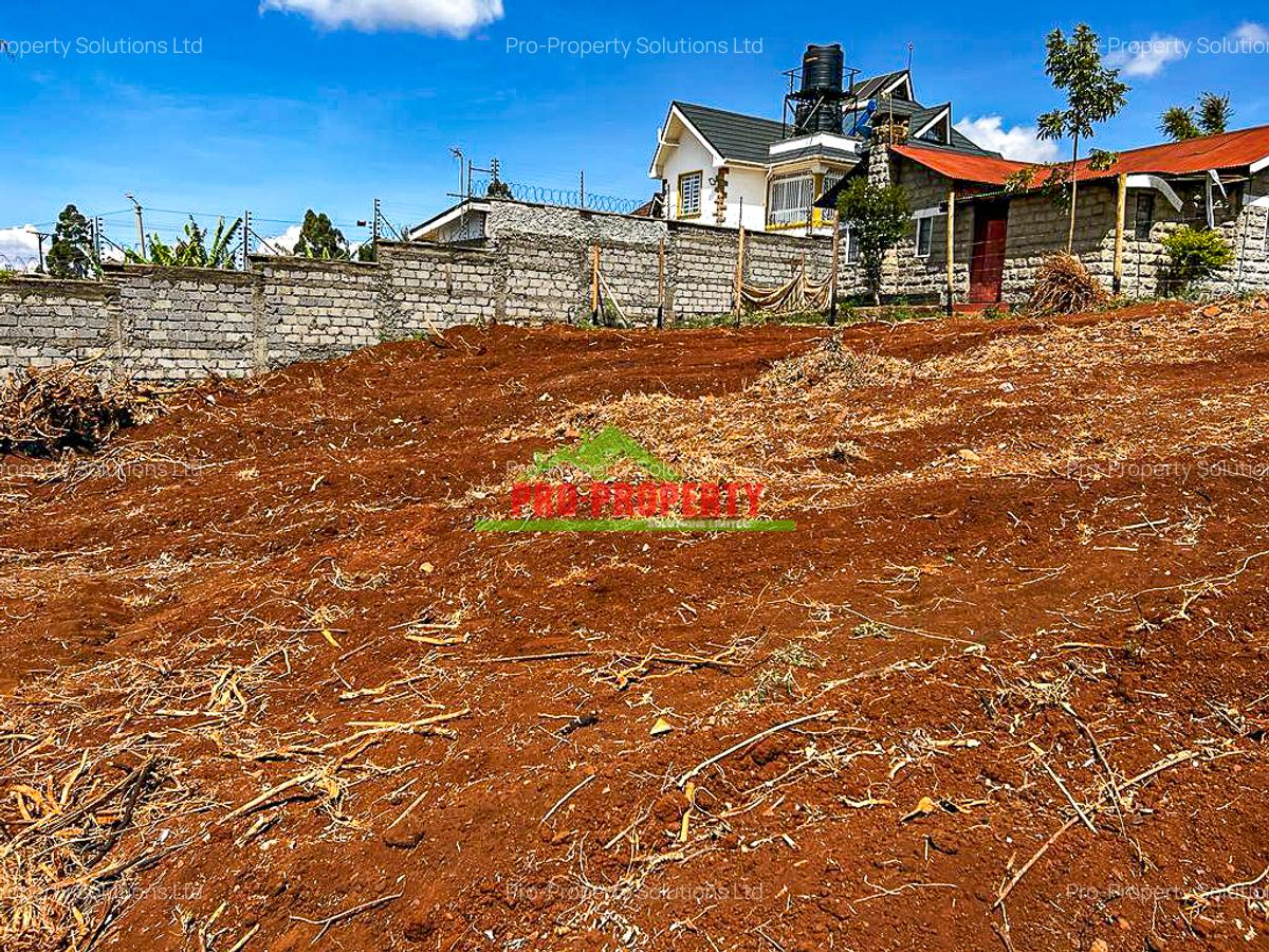 0.055 ha Residential Land at Ondiri - 11