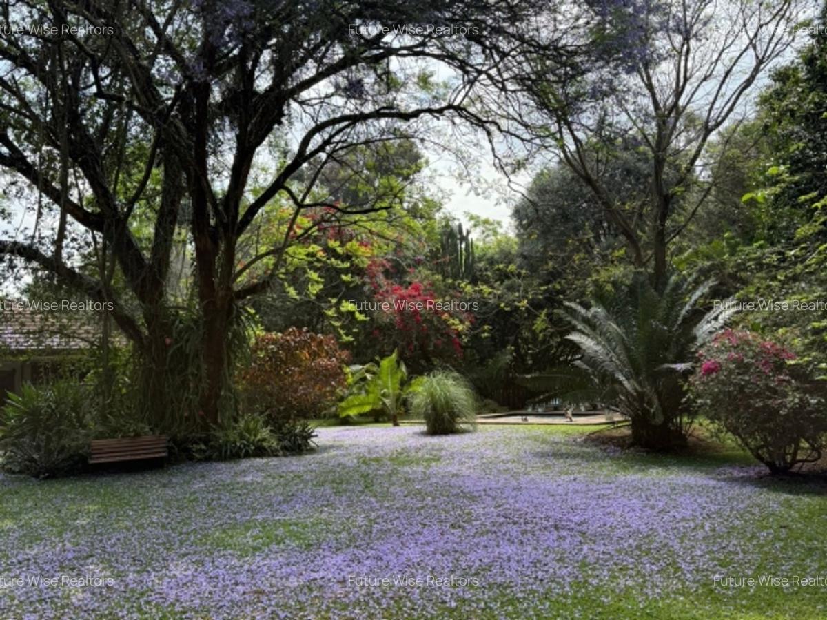 Land at Karen - 6