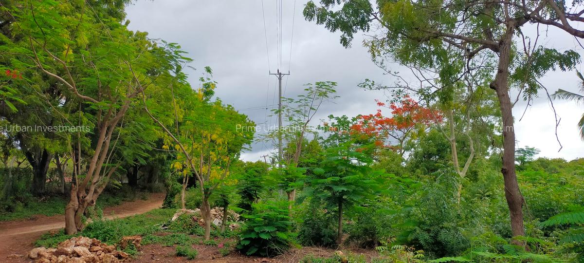40 ac Land at Vipingo Kuruwitu - 11