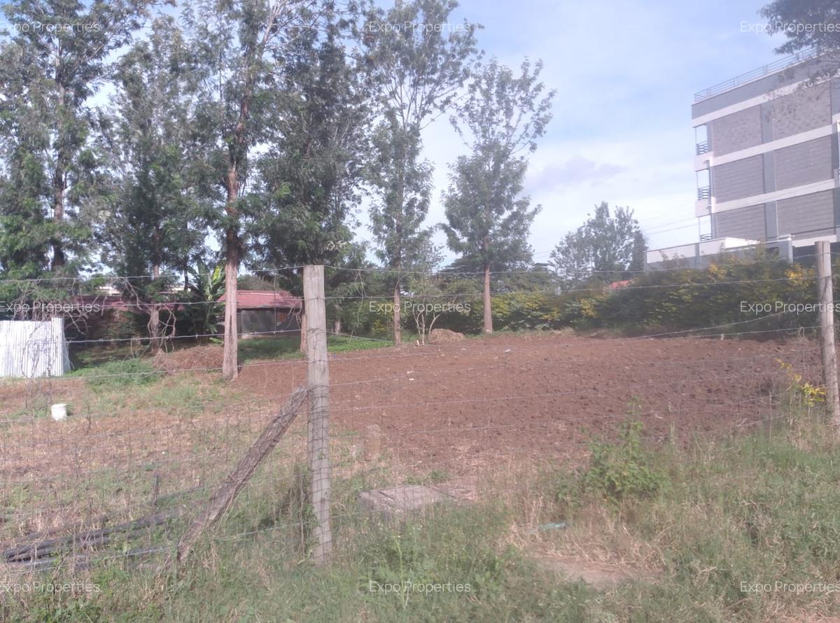 0.25 ac Commercial Land at Maasai Lodge Road - 6