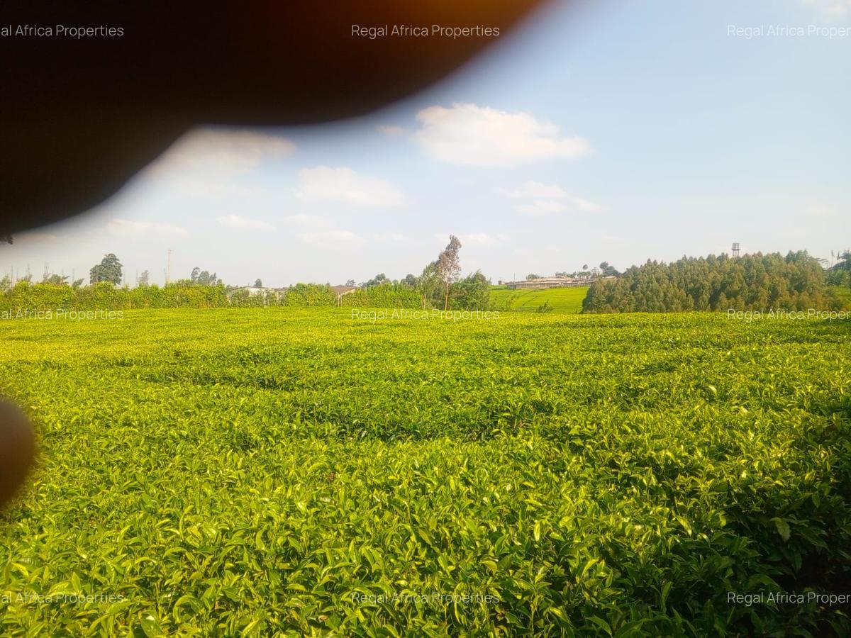 4.8 ac Land in Limuru - 6