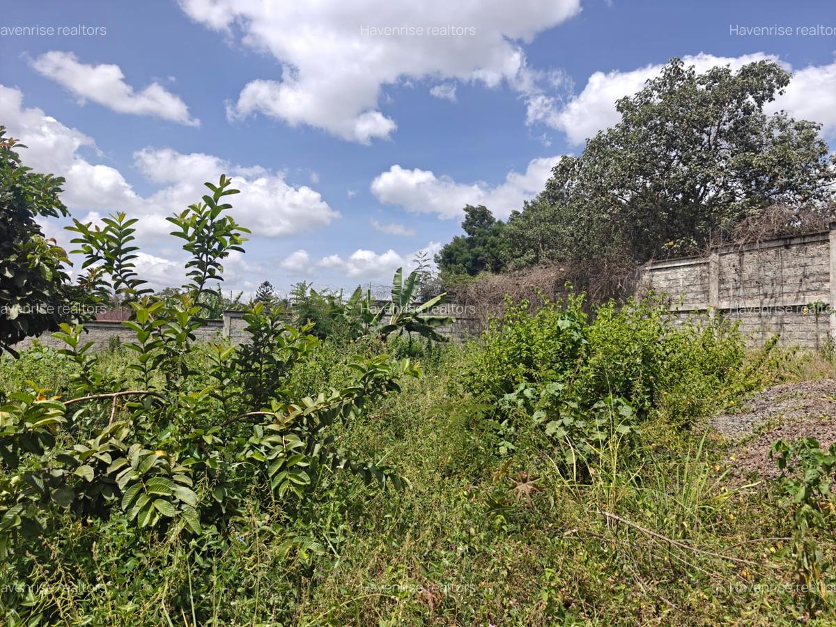 Land at Runda - 3
