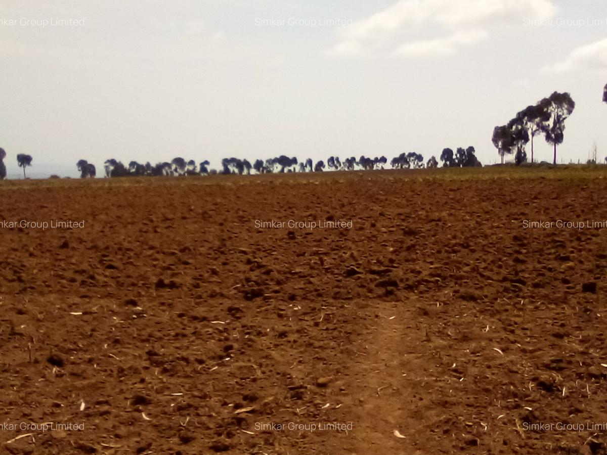 Land at Timau - 16