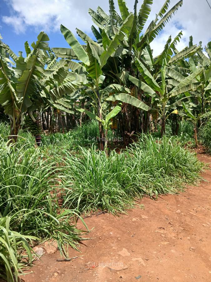 0.12 ac Land in Ruaka - 2