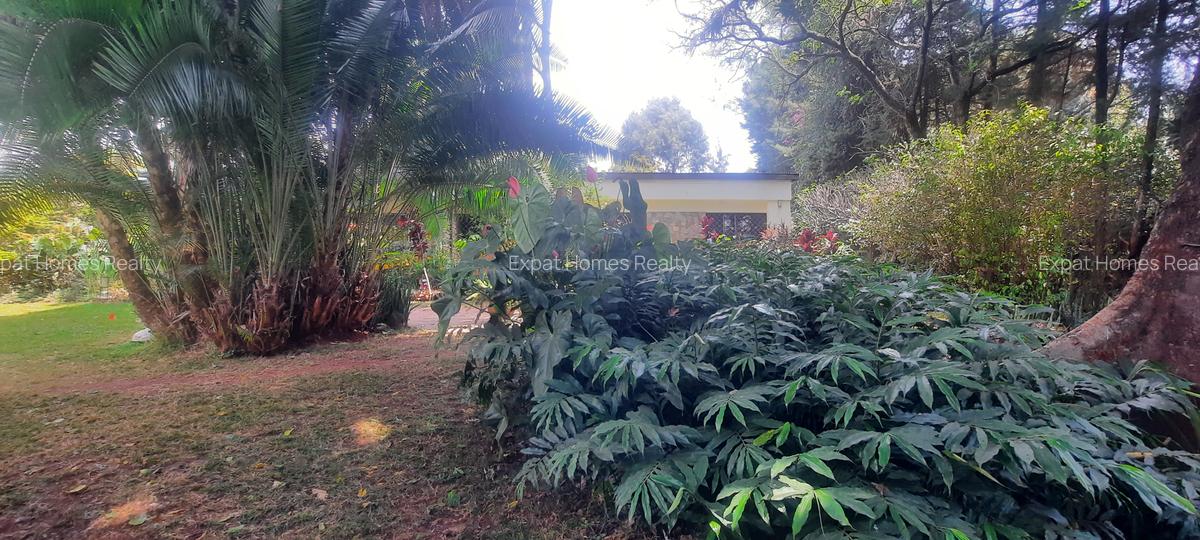 3 Bed House with Staff Quarters in Lavington - 4