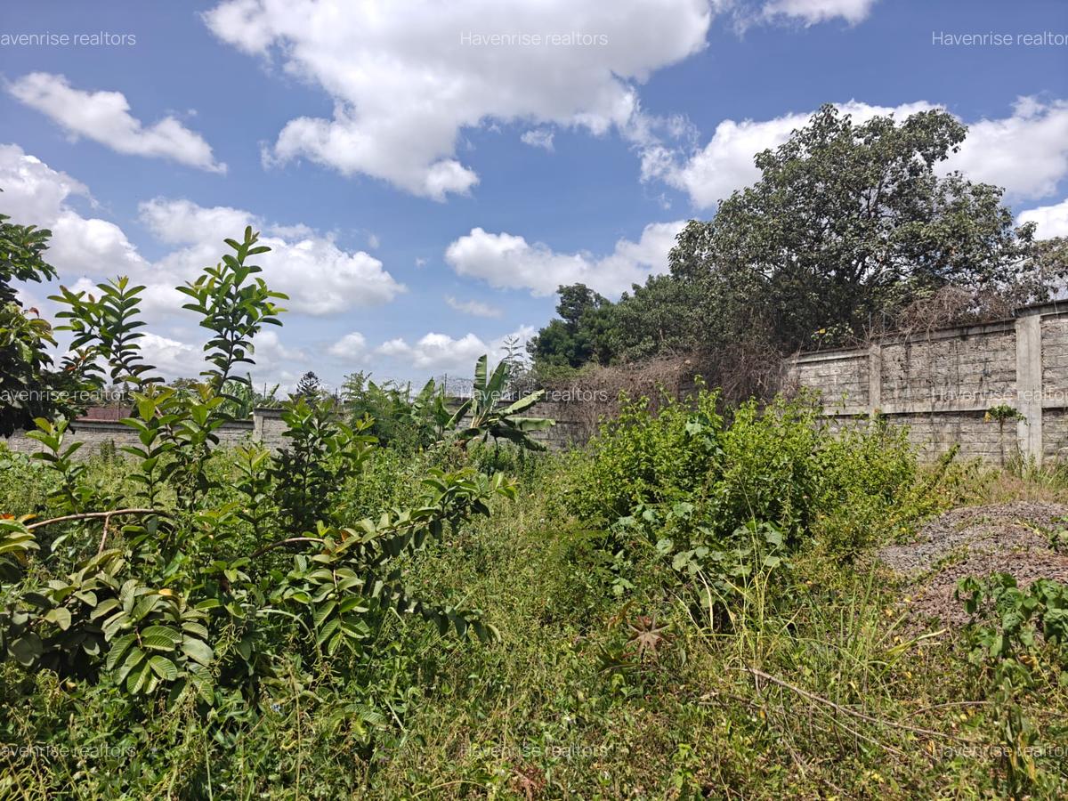Land at Runda - 1