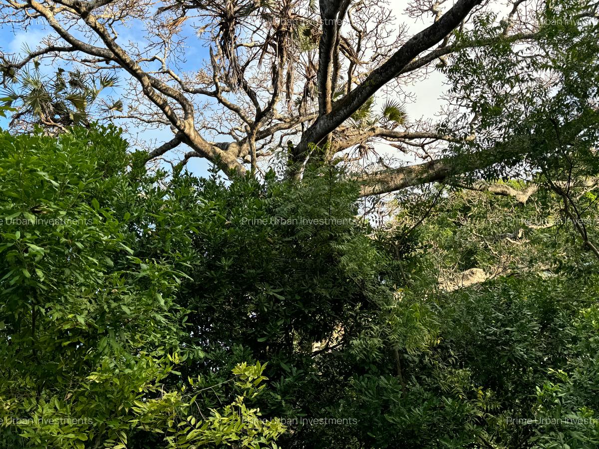8,093.72 m² Land at Mtwapa Creek Aloo Drive - 16