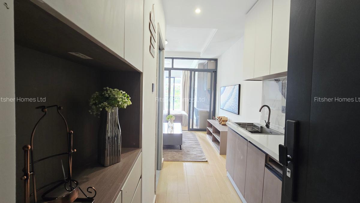Studio Apartment with En Suite in Thika Road - 10
