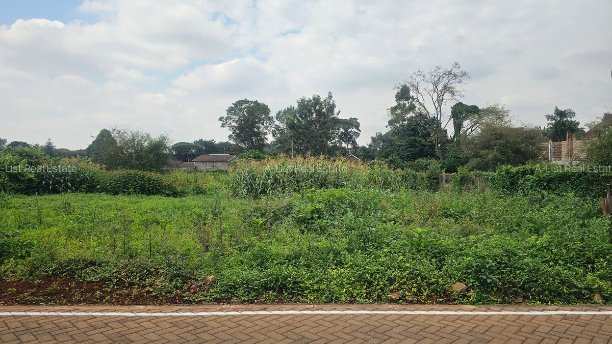 0.365 ac Land at Mushroom Road - 3