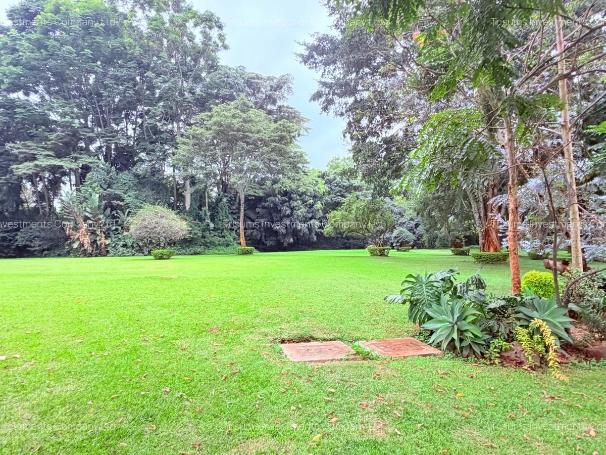 4.1 ac Land in Rosslyn - 13