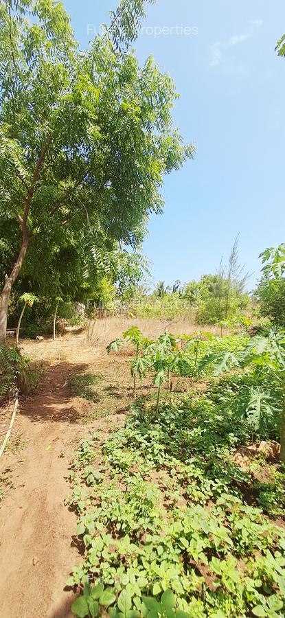 Land at Vipingo - 7