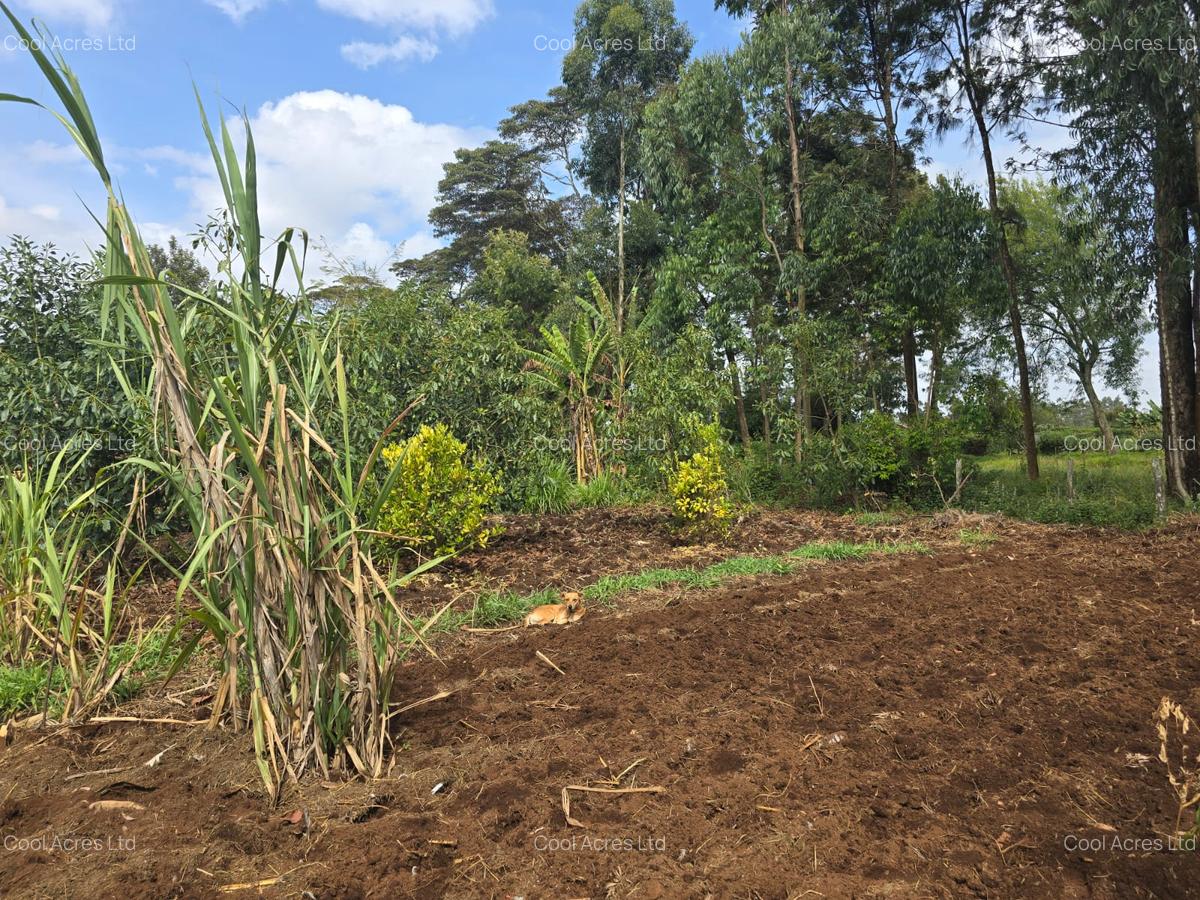 Land at Next To Tilisi Estate - 8