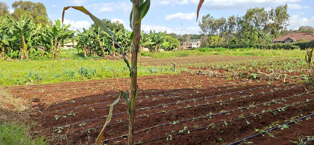 0.2 ha Residential Land at Three Dee Lane - 3