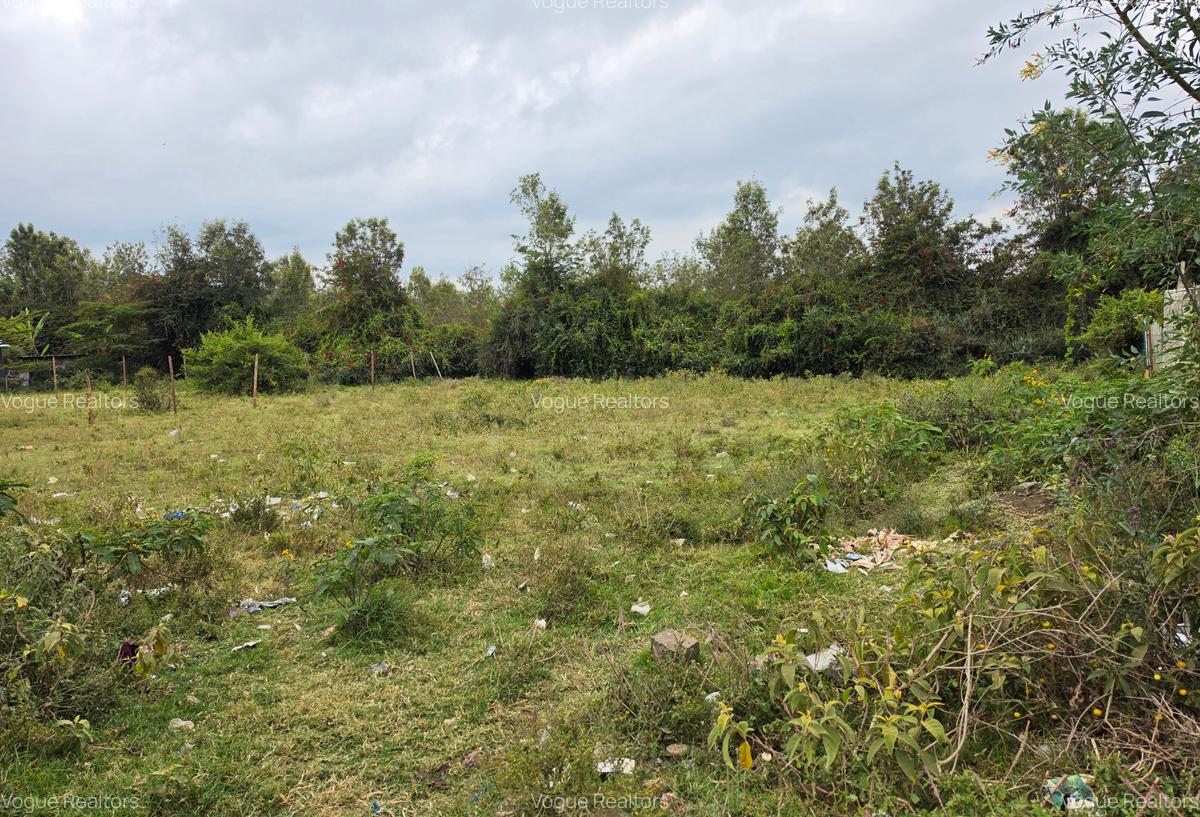 Land at Matasia - 1
