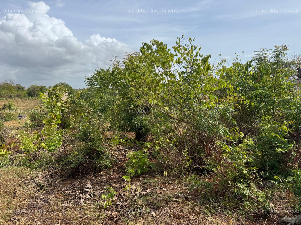 Land in Kilifi - 9
