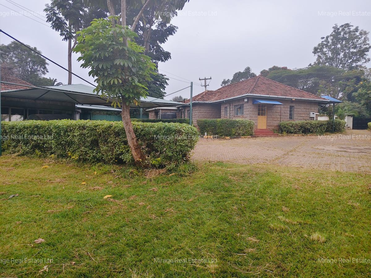 Commercial Property with Parking in Lavington - 1