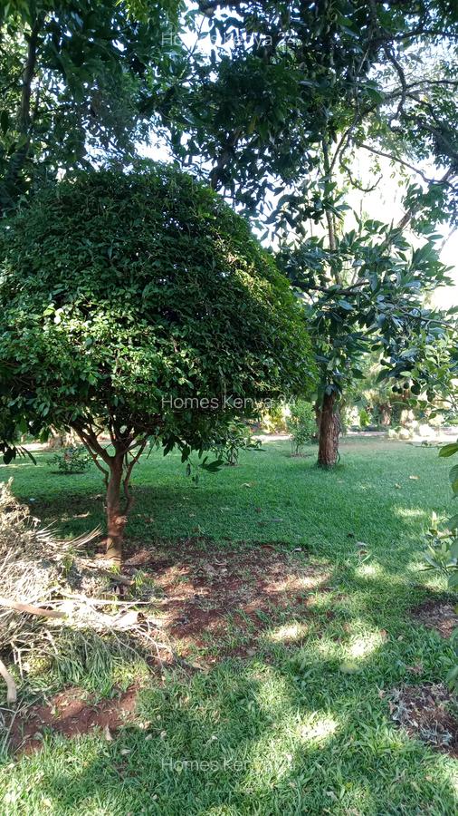1 Bed House in Runda - 4