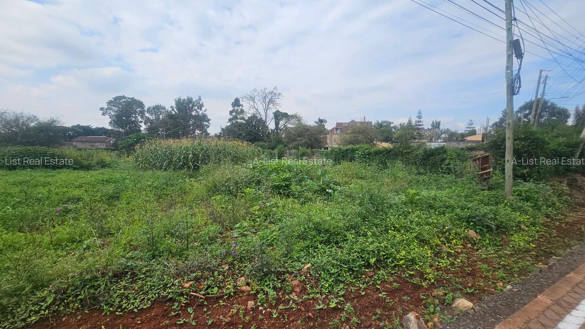 0.365 ac Land at Mushroom Road - 5