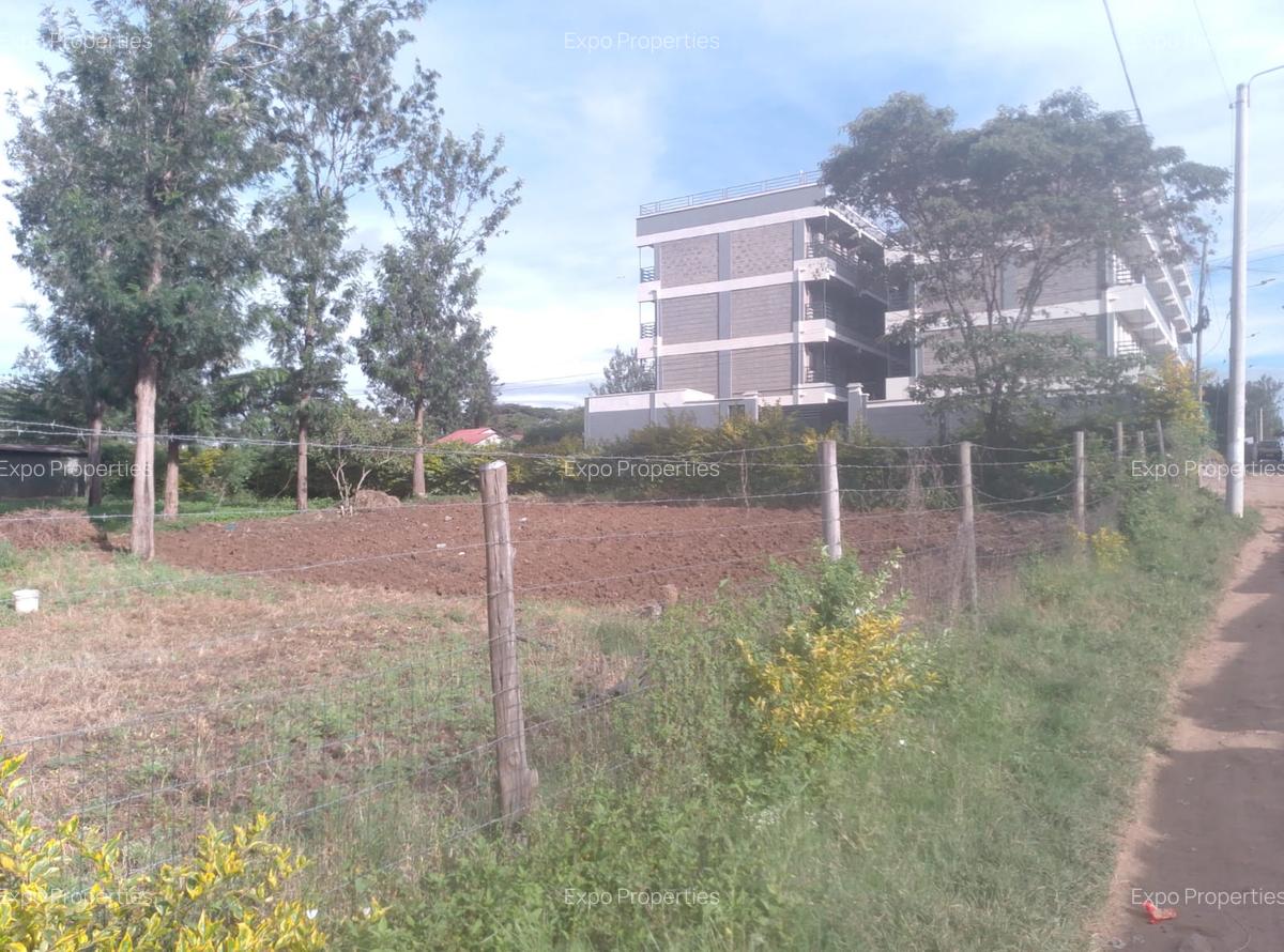 0.25 ac Commercial Land at Maasai Lodge Road - 1