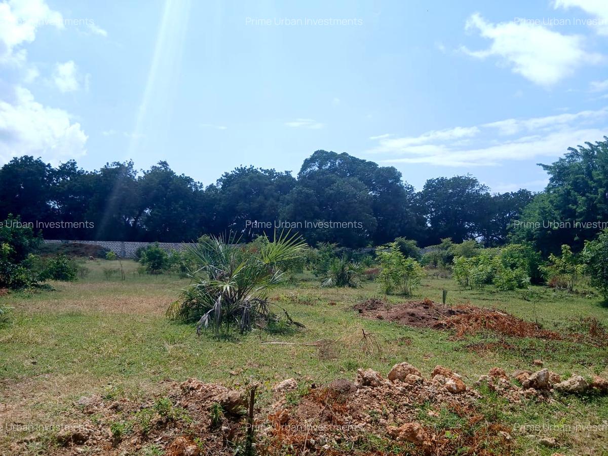 1,000 m² Residential Land at Vipingo - Kuruwitu - 4