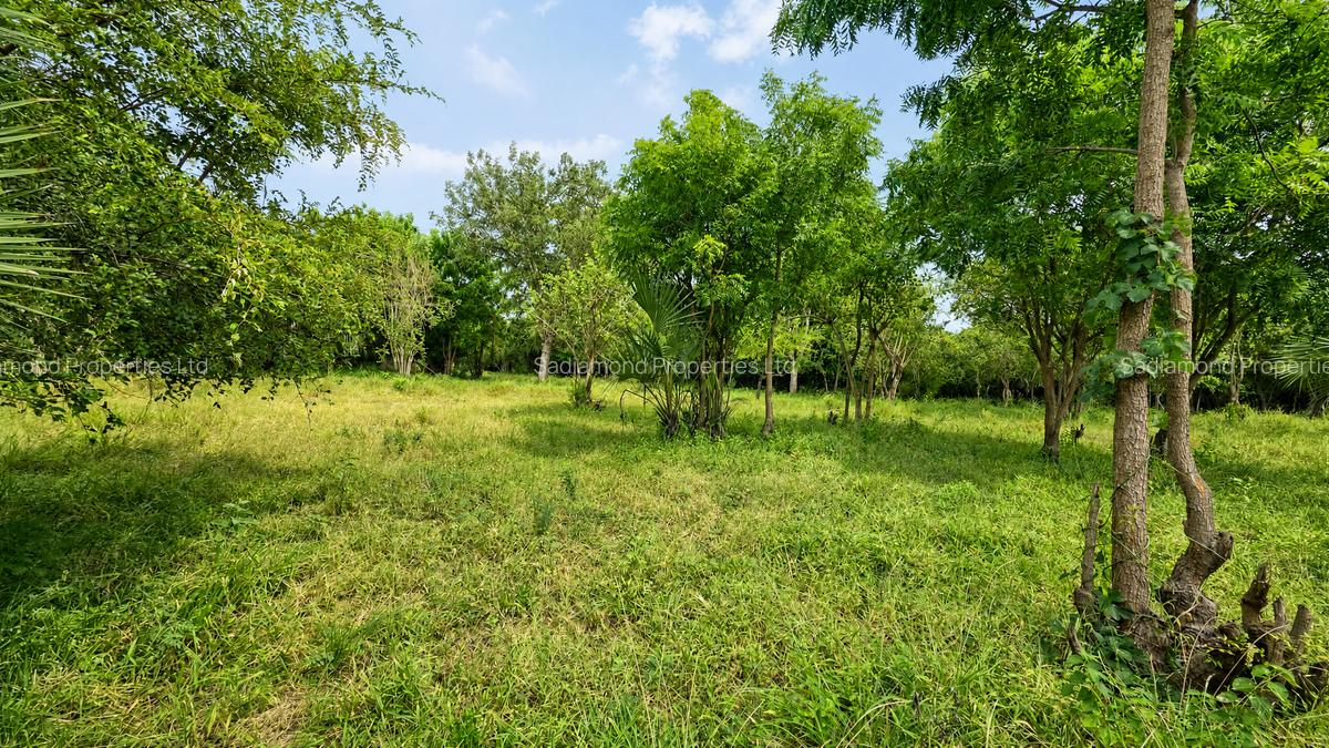 22 ac Land at Kondutsi - 1