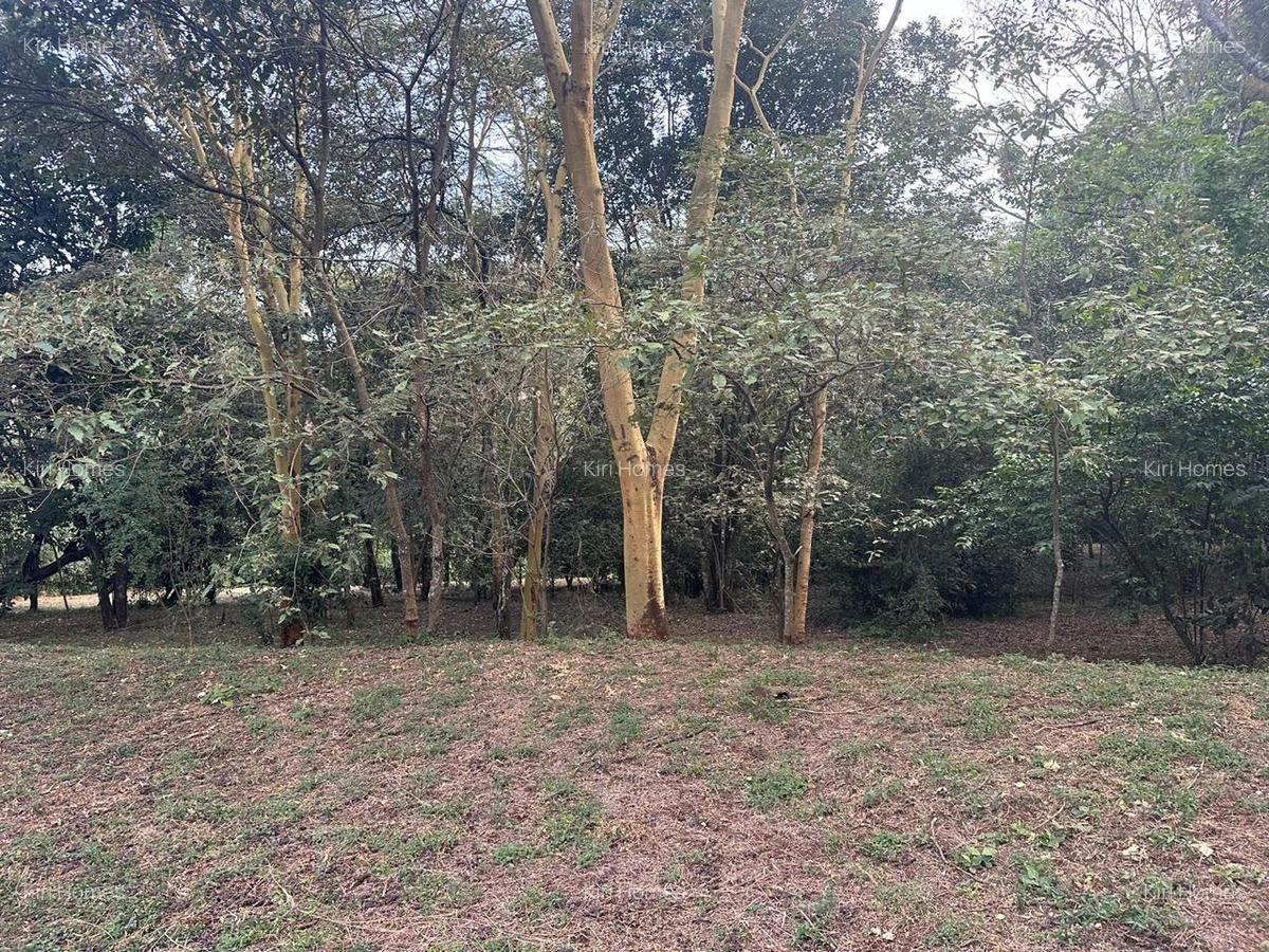 Land in Karen - 9