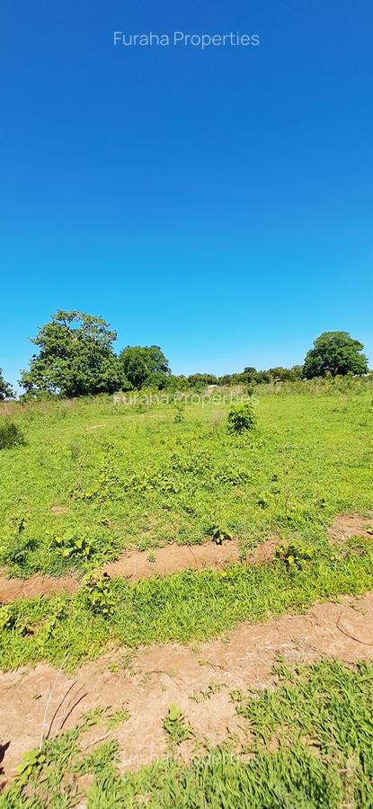 Land at Vipingo - 3