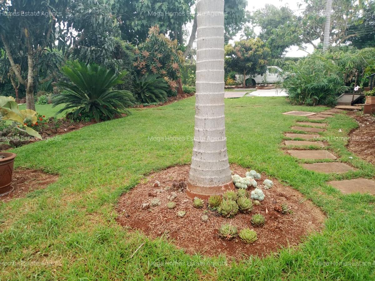 5 Bed House with En Suite in Nyari - 7